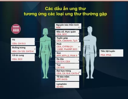 GÓI XÉT NGHIỆM TOÀN DIỆN TỔNG QUÁT (38 CHỈ SỐ)